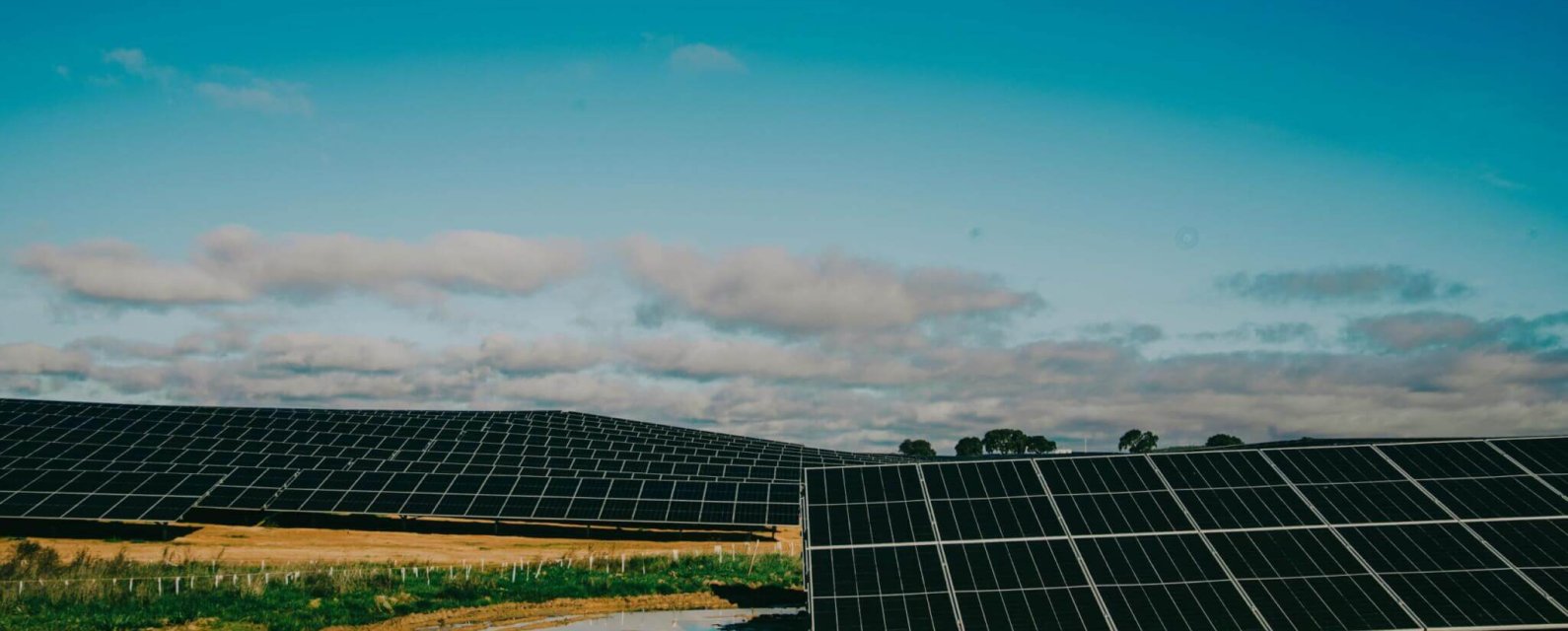 pexels-gunas4life-19205947