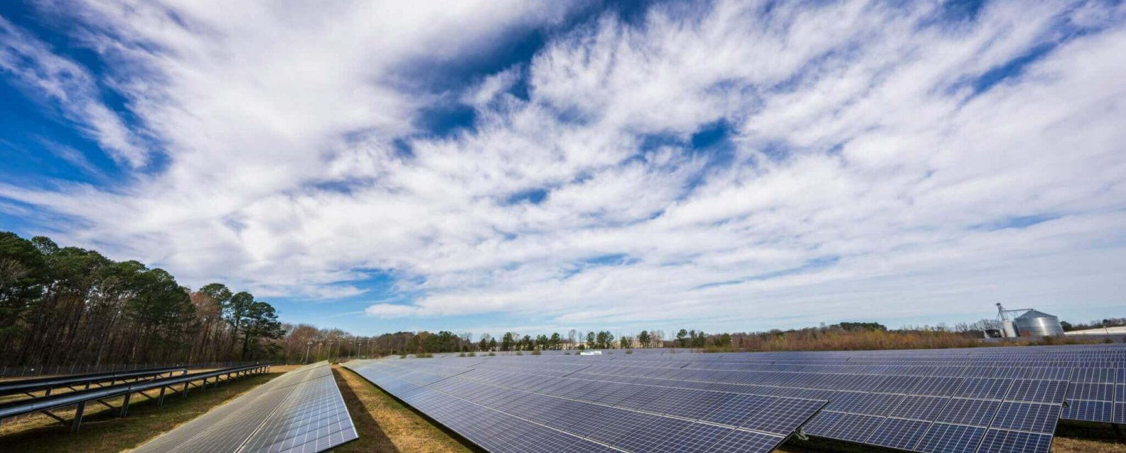 pexels-nc-farm-bureau-mark-15751120