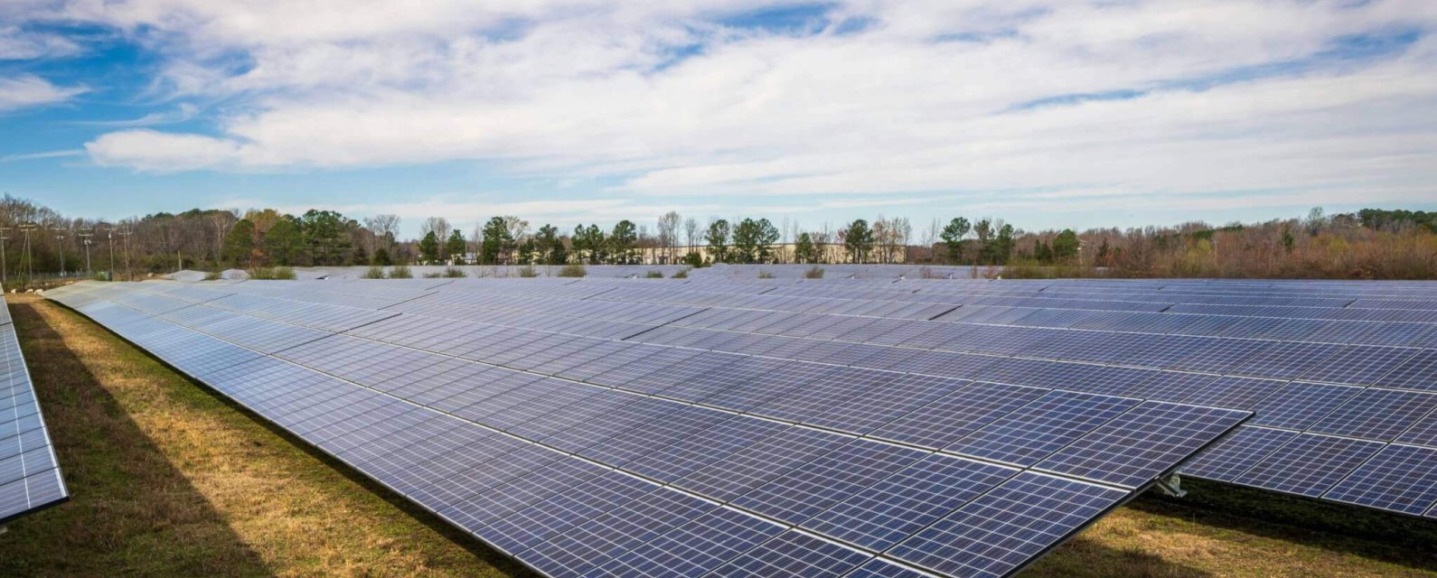 pexels-nc-farm-bureau-mark-15751123