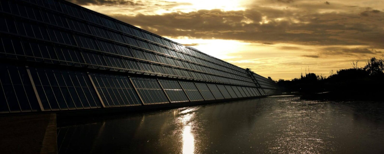 pexels-pixabay-371917