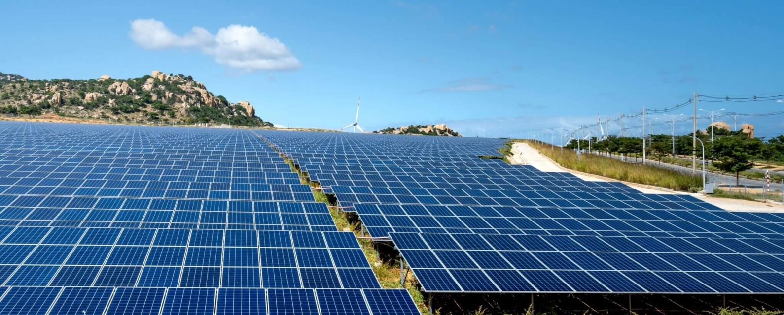 pexels-quang-nguyen-vinh-222549-6876534