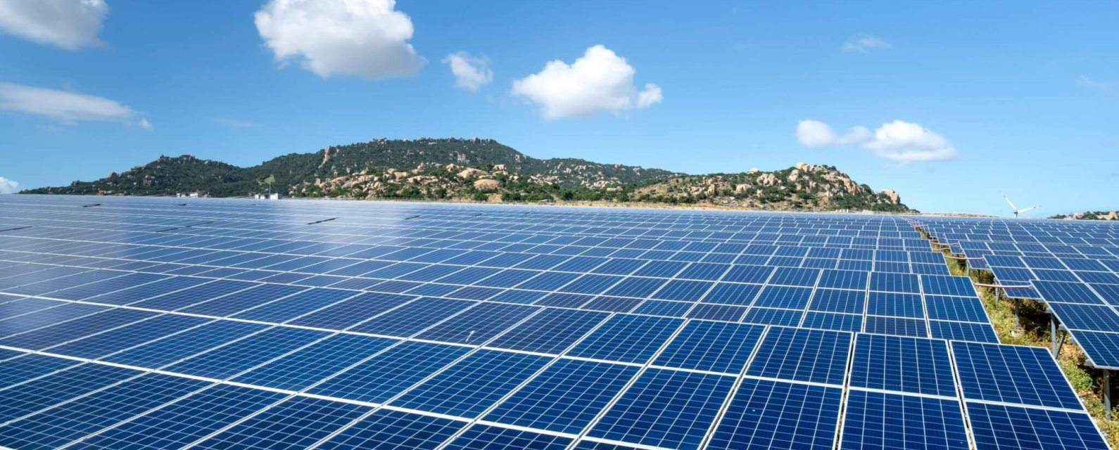 pexels-quang-nguyen-vinh-222549-6876536